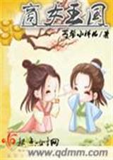 商女王妃太逆天