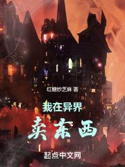 我在异界卖杂货芯苷