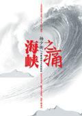 海峡之痛 杨少衡