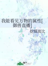 我能看见万物属性陈青衣啊免费