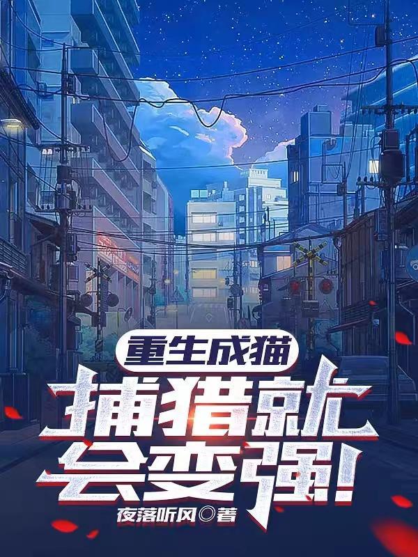 流浪猫饿死视频