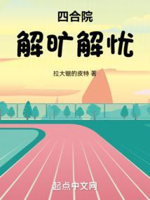 四合院解旷解忧TXT