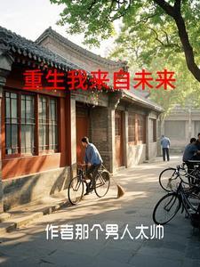 四合院我女人有点多作者那个男人太帅