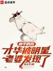 才华被明星老婆发现了在乡下