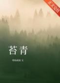 苔青寒枝疏雨免费阅读全文