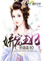 娇宠王妃电视剧免费观看